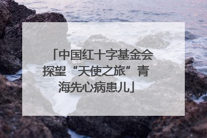 中国红十字基金会探望“天使之旅”青海先心病患儿