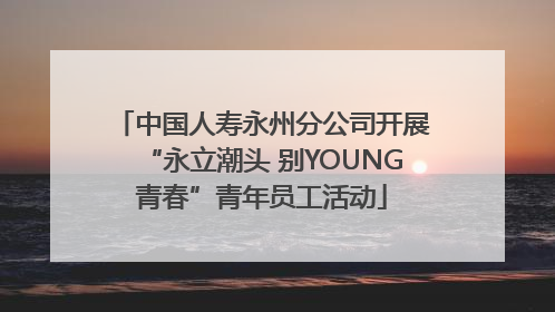 中国人寿永州分公司开展“永立潮头 别YOUNG青春”青年员工活动
