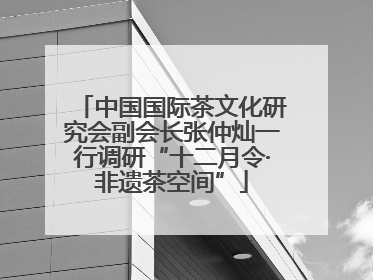 中国国际茶文化研究会副会长张仲灿一行调研“十二月令·非遗茶空间”