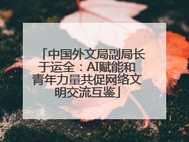 中国外文局副局长于运全：AI赋能和青年力量共促网络文明交流互鉴