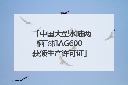 中国大型水陆两栖飞机AG600获颁生产许可证