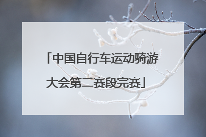 中国自行车运动骑游大会第二赛段完赛