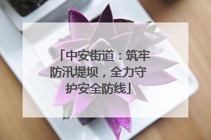 中安街道：筑牢防汛堤坝，全力守护安全防线