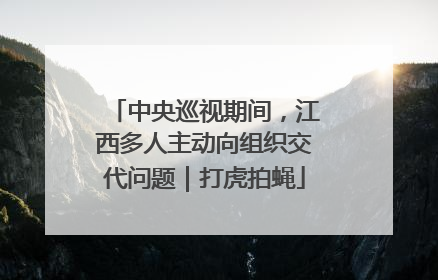 中央巡视期间，江西多人主动向组织交代问题｜打虎拍蝇
