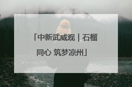 中新武威观｜石榴同心 筑梦凉州