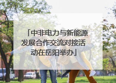 中非电力与新能源发展合作交流对接活动在岳阳举办