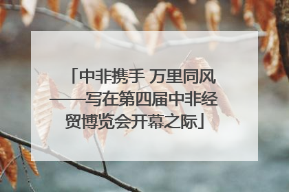 中非携手 万里同风——写在第四届中非经贸博览会开幕之际