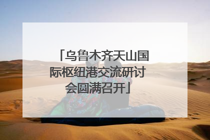 乌鲁木齐天山国际枢纽港交流研讨会圆满召开