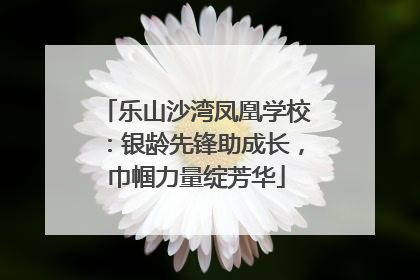 乐山沙湾凤凰学校：银龄先锋助成长，巾帼力量绽芳华