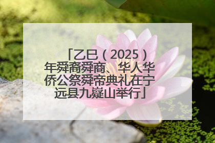 乙巳（2025）年舜裔舜商、华人华侨公祭舜帝典礼在宁远县九嶷山举行