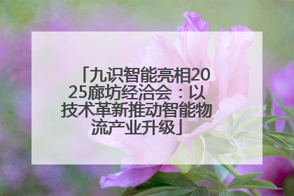 九识智能亮相2025廊坊经洽会：以技术革新推动智能物流产业升级