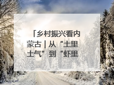 乡村振兴看内蒙古｜从“土里土气”到“虾里虾气” 一田双收模式火出圈