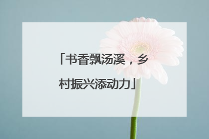 书香飘汤溪，乡村振兴添动力