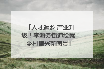 人才返乡 产业升级！李海务街道绘就乡村振兴新图景