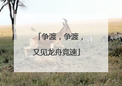 争渡，争渡，又见龙舟竞速