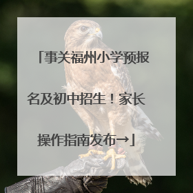事关福州小学预报名及初中招生！家长操作指南发布→