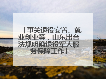 事关退役安置、就业创业等，山东出台法规明确退役军人服务保障工作