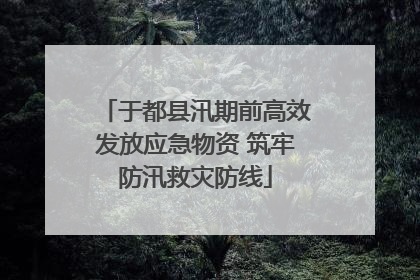 于都县汛期前高效发放应急物资 筑牢防汛救灾防线