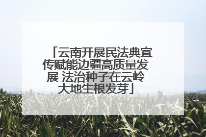 云南开展民法典宣传赋能边疆高质量发展 法治种子在云岭大地生根发芽