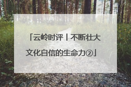 云岭时评丨不断壮大文化自信的生命力②