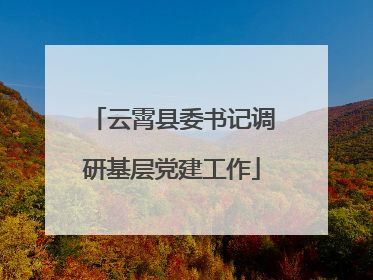 云霄县委书记调研基层党建工作