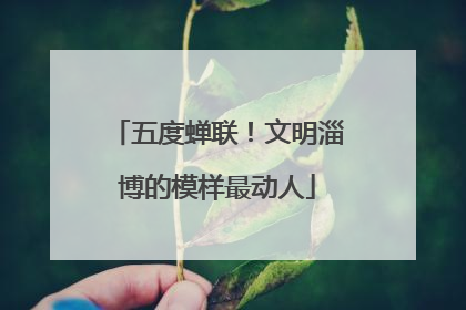 五度蝉联！文明淄博的模样最动人