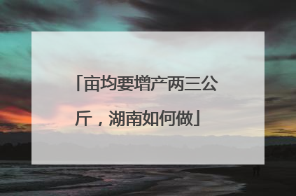 亩均要增产两三公斤，湖南如何做