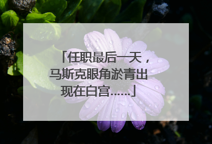 任职最后一天，马斯克眼角淤青出现在白宫……
