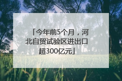 今年前5个月，河北自贸试验区进出口超300亿元