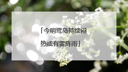 今明鹭岛持续闷热或有雷阵雨