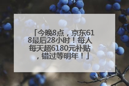 今晚8点，京东618最后28小时！每人每天超6180元补贴，错过等明年！