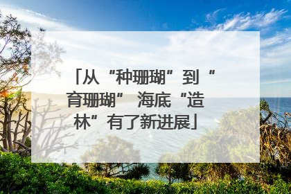 从“种珊瑚”到“育珊瑚” 海底“造林”有了新进展