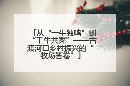 从“一牛独鸣”到“千牛共舞”——古渡河口乡村振兴的“牧场答卷”