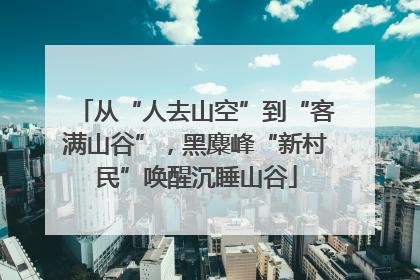 从“人去山空”到“客满山谷”，黑麋峰“新村民”唤醒沉睡山谷