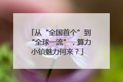从“全国首个”到“全球一流”，算力小镇魅力何来？