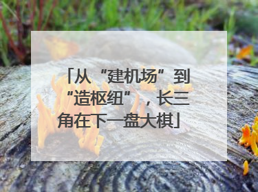 从“建机场”到“造枢纽”，长三角在下一盘大棋