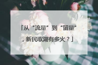从“流量”到“留量”，新民歌湖有多火？