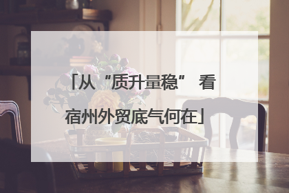 从“质升量稳” 看宿州外贸底气何在