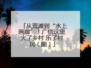 从荒滩到“水上画廊”！广信这里火了乡村 乐了村民（图）