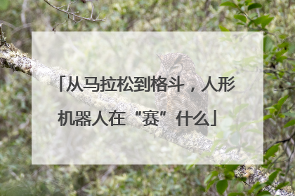 从马拉松到格斗，人形机器人在“赛”什么