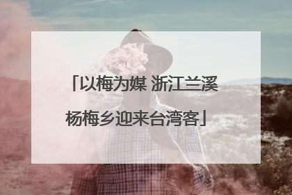 以梅为媒 浙江兰溪杨梅乡迎来台湾客