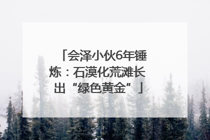 会泽小伙6年锤炼：石漠化荒滩长出“绿色黄金”