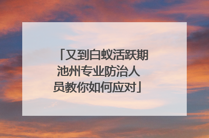 又到白蚁活跃期 池州专业防治人员教你如何应对