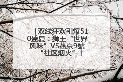 双线狂欢引爆510盛夏：狮王“世界风味”VS燕京9號“社区烟火”