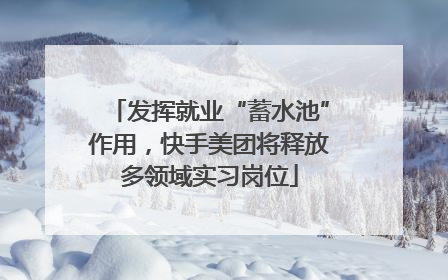 发挥就业“蓄水池”作用，快手美团将释放多领域实习岗位