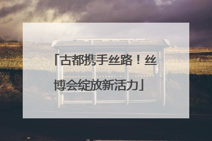 古都携手丝路！丝博会绽放新活力
