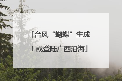 台风“蝴蝶”生成！或登陆广西沿海