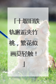 十堰旧铁轨邂逅夹竹桃，繁花似画莫轻触！