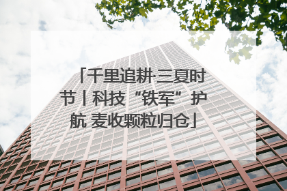 千里追耕·三夏时节丨科技“铁军”护航 麦收颗粒归仓