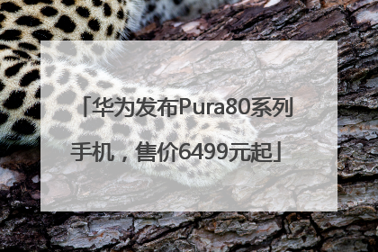 华为发布Pura80系列手机，售价6499元起